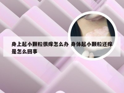 身上起小颗粒很痒怎么办 身体起小颗粒还痒是怎么回事