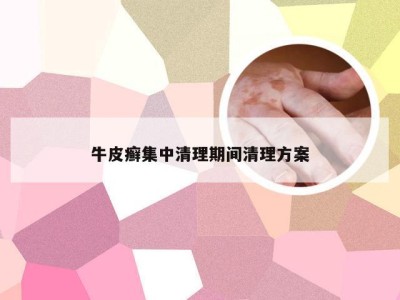 牛皮癣集中清理期间清理方案
