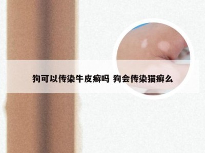 狗可以传染牛皮癣吗 狗会传染猫癣么