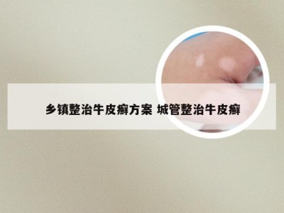 乡镇整治牛皮癣方案 城管整治牛皮癣