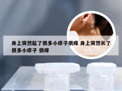 身上突然起了很多小疹子很痒 身上突然长了很多小疹子 很痒