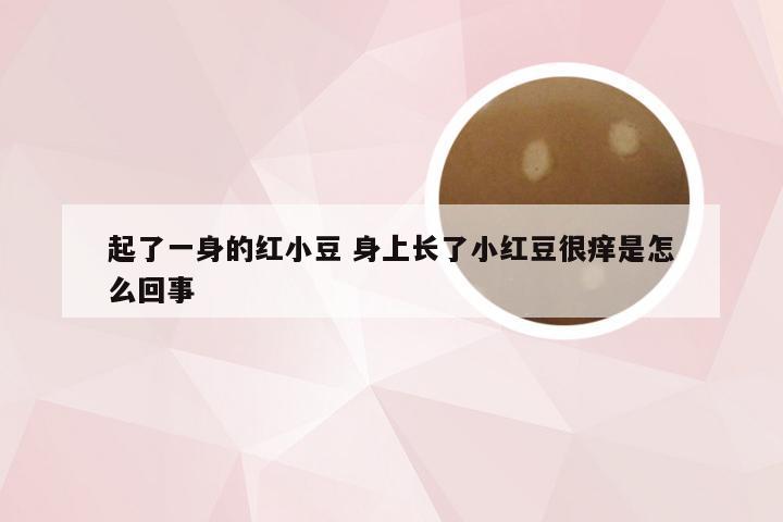 起了一身的红小豆 身上长了小红豆很痒是怎么回事