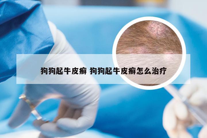 狗狗起牛皮癣 狗狗起牛皮癣怎么治疗